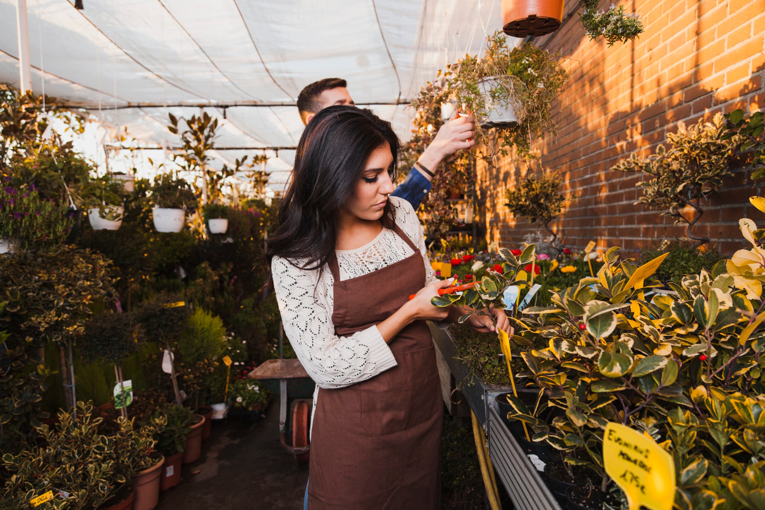 Fresh produce at Siddique's Farmers Market
